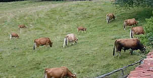 Vivienda Vacacional La Llera 0011