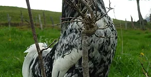 Vivienda Vacacional La Llera 0013