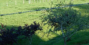 Vivienda Vacacional La Llera 0019