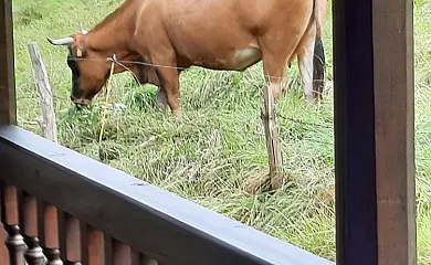 Vivienda Vacacional La Llera en Nava (Asturias) - Foto 3