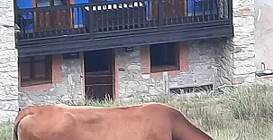 Vivienda Vacacional La Llera 0037