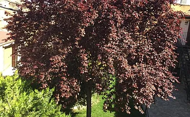 Casa del Agüelo en Cella (Teruel) - Foto 11