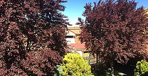 Casa del Agüelo 0014