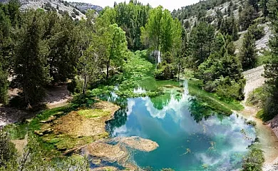 La Casona del Río Abión en Valdealvillo (Soria) - Foto 24