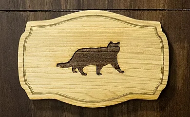 La Casona del Río Abión en Valdealvillo (Soria) - Foto 19