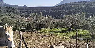 Casa Rural La Chumberita 0028