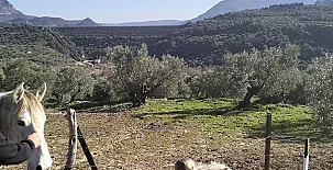 Casa Rural La Chumberita 0034