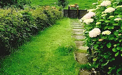 La Calma de Llanes en La Borbolla (Asturias) - Foto 3