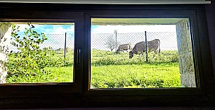 La Calma de Llanes 0037