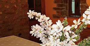 Masía Els Vilás 0026