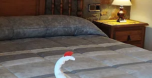 Masía Els Vilás 0032