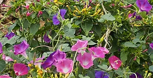 Masía Els Vilás 0038