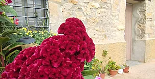 Masía Els Vilás 0046