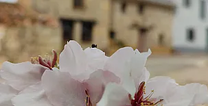 Masía Els Vilás 0050