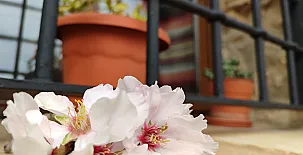 Masía Els Vilás 0052