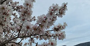 Masía Els Vilás 0060