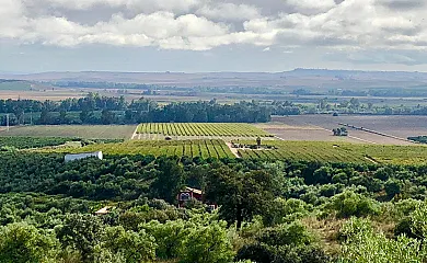 El Silgueiro casa rural en Alcolea Del Rio (Sevilla) - Foto 4
