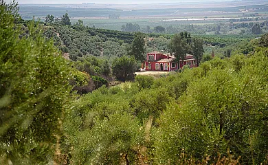 El Silgueiro casa rural en Alcolea Del Rio (Sevilla) - Foto 9