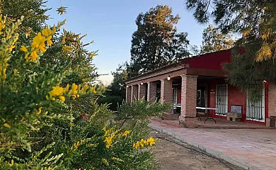 El Silgueiro casa rural en Alcolea Del Rio (Sevilla) - Foto 10