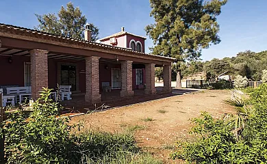 El Silgueiro casa rural en Alcolea Del Rio (Sevilla) - Foto 12