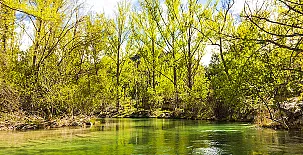 Casas rurales Chon alto tajo 004