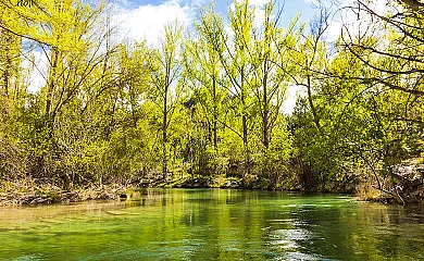 Casas rurales Chon alto tajo en Peralejos de las Truchas (Guadalajara) - Foto 4
