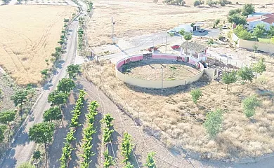 Finca La Caprichosa de Dancos en Lillo (Toledo) - Foto 20