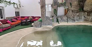 Finca La Caprichosa de Dancos 0031