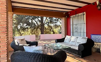 El Silgueiro casa rural en Alcolea Del Rio (Sevilla) - Foto 13