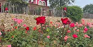 El Silgueiro casa rural 0018