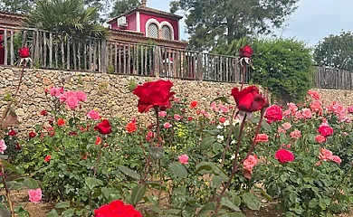 El Silgueiro casa rural en Alcolea Del Rio (Sevilla) - Foto 18