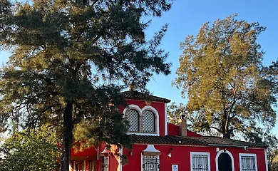 El Silgueiro casa rural en Alcolea Del Rio (Sevilla) - Foto 19