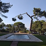 La Cabaña de la Abuela 001