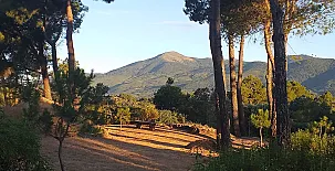 La Cabaña de la Abuela 0012