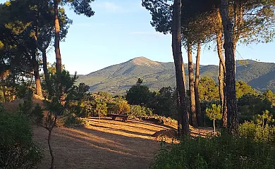 La Cabaña de la Abuela en Cadalso de los Vidrios (Madrid) - Foto 12