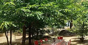 La Cabaña de la Abuela 0014