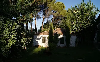 Turalcaraz, alojamientos en Alcaraz. en Alcaraz (Albacete) - Foto 4