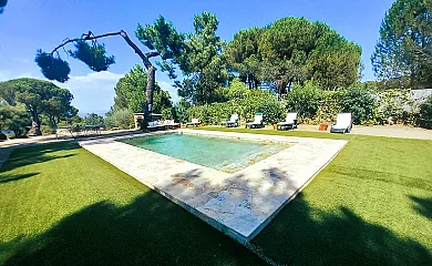 La Cabaña de la Abuela en Cadalso de los Vidrios (Madrid) - Foto 15