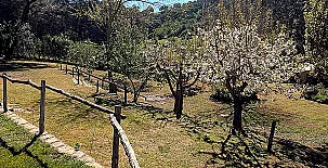 Casa Rural Ribera del Huéznar 0024