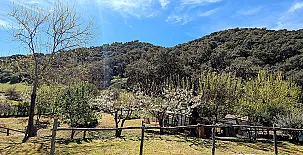 Casa Rural Ribera del Huéznar 0025