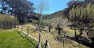 Casa Rural Ribera del Huéznar 0028