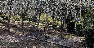 Casa Rural Ribera del Huéznar 0031