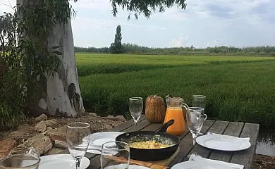Mas dels Bonos en Deltebre (Tarragona) - Foto 3