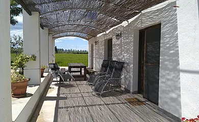 Mas dels Bonos en Deltebre (Tarragona) - Foto 13