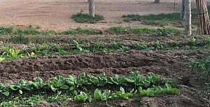 La Caseta de Susana 0017