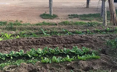 La Caseta de Susana en Deltebre (Tarragona) - Foto 17