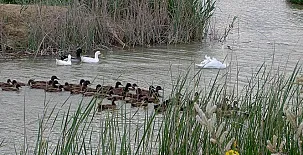 La Caseta de Susana 0021