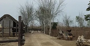 La Caseta de Susana 0022