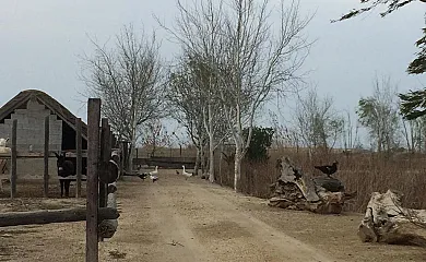 La Caseta de Susana en Deltebre (Tarragona) - Foto 22