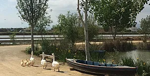 La Caseta de Susana 0023